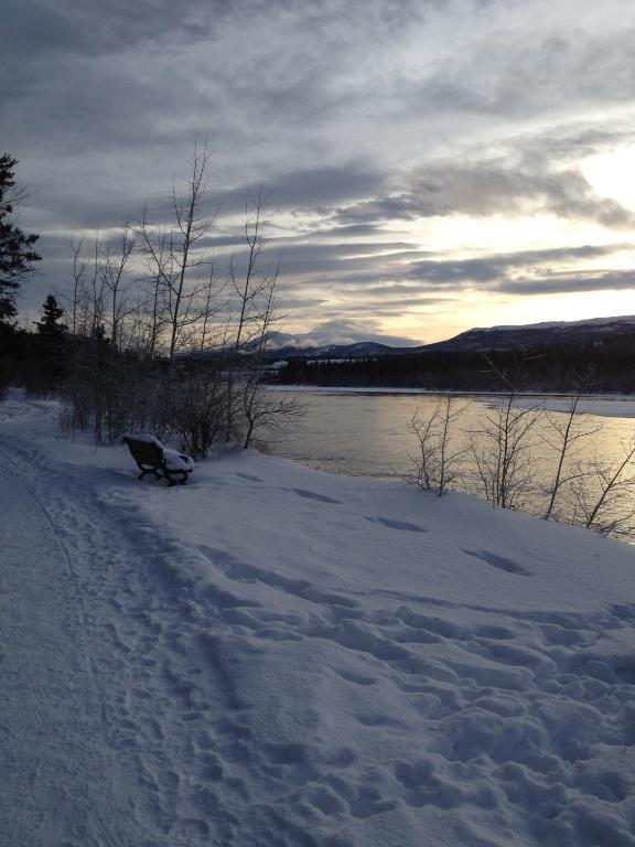 Vangorda Place B&B Whitehorse Bagian luar foto