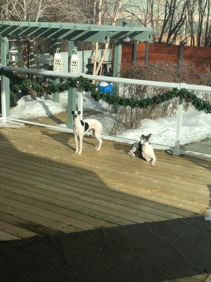Vangorda Place B&B Whitehorse Bagian luar foto